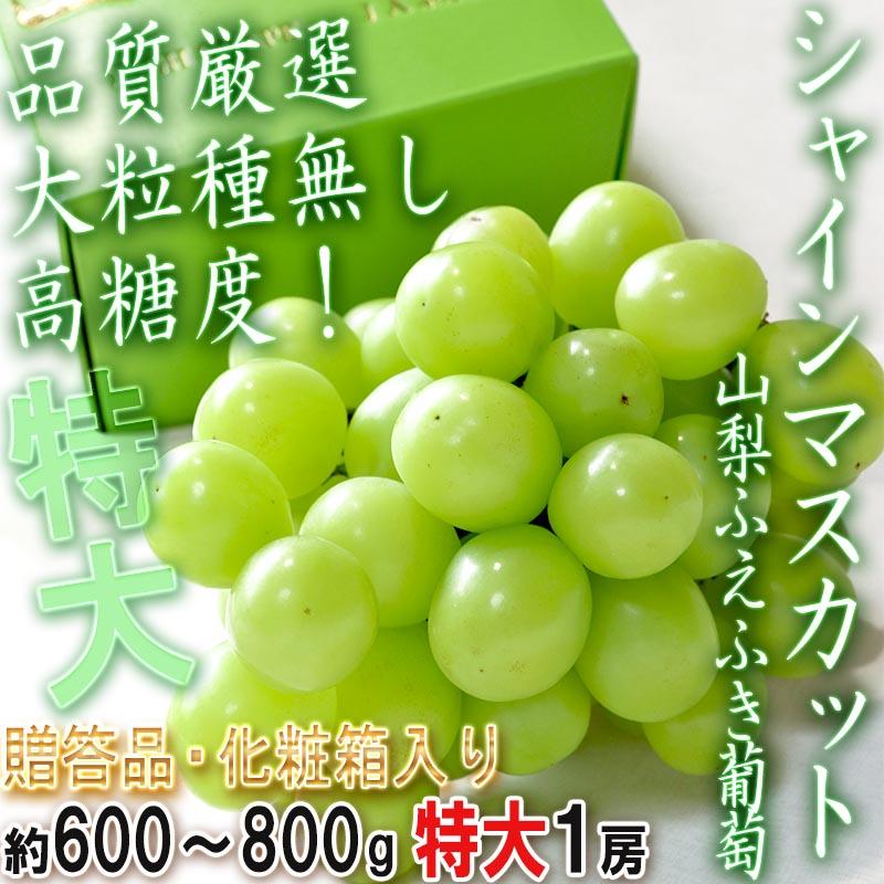 匠の葡萄 特大 厳選シャインマスカット 約600〜800g 1房入り 山梨県産 贈答規格 種無し葡萄 全国屈指の産地が誇る高級ぶどう！最高峰の味と品質のギフトフルーツ