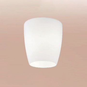 E27玻璃單吸頂燈 B69-32-3565D