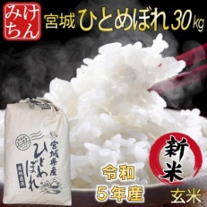 令和5年産　宮城県産ひとめぼれ 玄米30kg