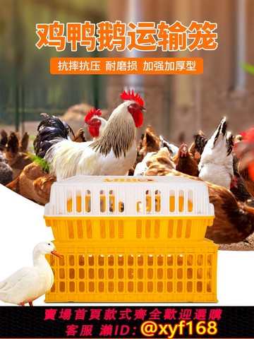 {可打統編 保固一年}雞籠周轉箱塑料家禽運輸籠特大號成雞鴨鵝鴿子籠子家用兔籠養殖籠