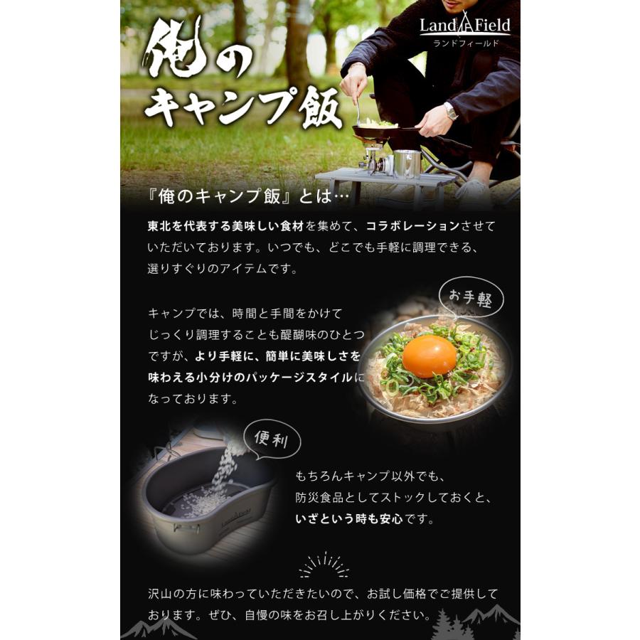 俺のキャンプ飯 レトルトカレー レトルトパウチ キャンプ アウトドア 飯ごう炊飯 2食セット カレーライス ポーク カキ LandField LF-MCR010 公式