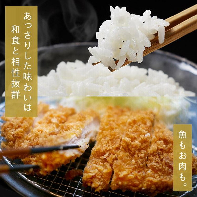 米 300g 無洗米 生鮮米 一人暮らし お米 精白米 うるち米 なな