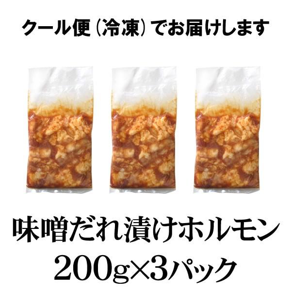 肉 牛肉 焼肉 焼き肉 ホルモン 焼肉 牛ホルモン 味噌だれ漬けお試しセット 600g バーベキュー 焼肉セット BBQ 食品 肉