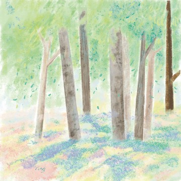 春天【一年風景】明信片