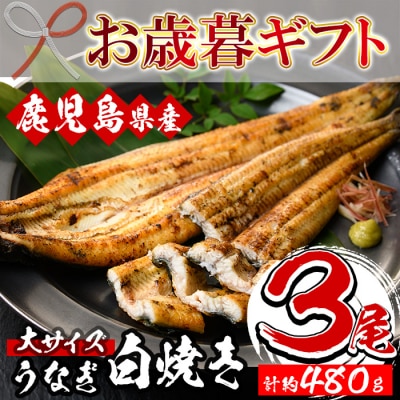 厳選!鹿児島県産うなぎ白焼き大3尾(約480g)