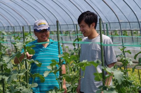 北海道産赤肉メロン3種定期便（1玉×3ヶ月）