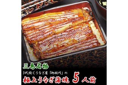 三島名物 うなぎ 蒲焼 (真空パック) 5人前（1人前あたり120g～140g）