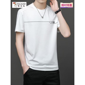 (免運)啄木鳥男士短袖T恤2025新款夏季冰絲半袖天蠶絲高端涼感男裝體恤