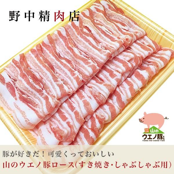 豚肉 豚バラ肉 すき焼き・しゃぶしゃぶ用 山のウエノ豚300g（2〜3人分）