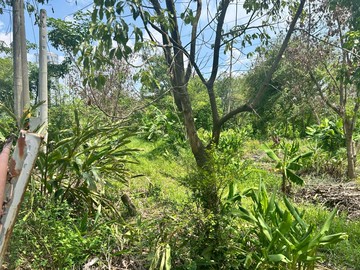 ⭕️中埔⭕️頂六國小旁農地｜嘉義縣中埔鄉田寮段