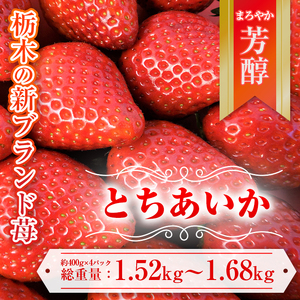 とちあいか 380g～420g×4パック ※離島への配送不可 ※2024年1月中旬頃より順次発送予定