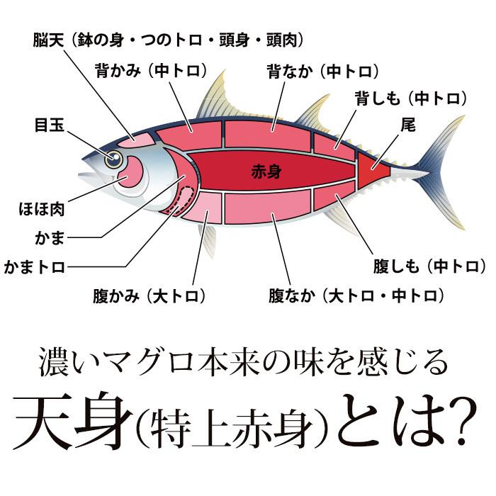 マグロ 中トロ、 天身（特上赤身）セット 天然本マグロ 天然メバチマグロ 4柵セット（約120g〜150g 1柵）