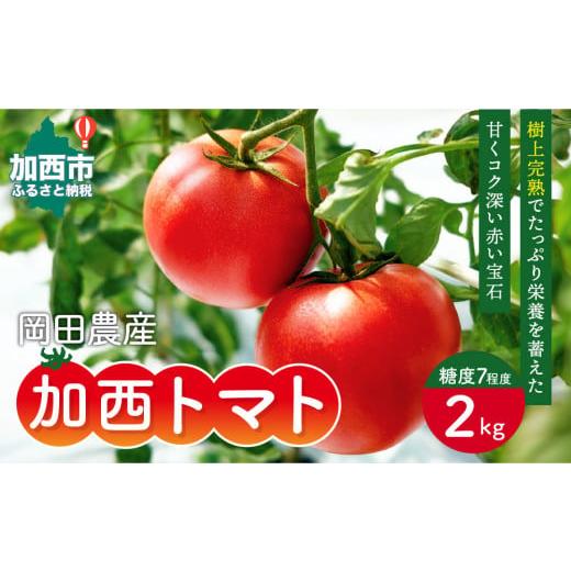 ふるさと納税 兵庫県 加西市 加西とまと（2023年度産）2kg