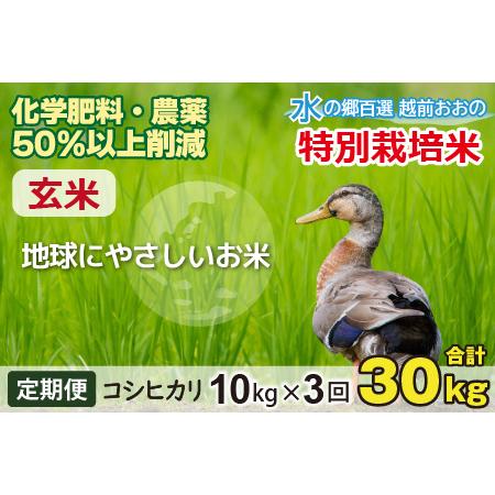 ふるさと納税 こしひかり 10kg × 3回 計 30kg　減農薬・減化学肥料 「特別栽培米」−地球にやさ.. 福井県大野市