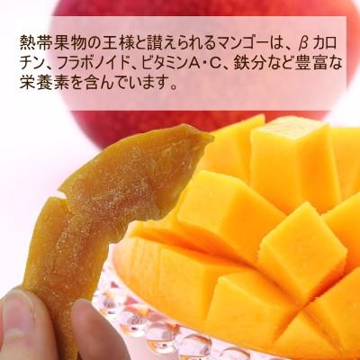 ドライフルーツ マンゴー ダイスカット 1kg(500g×2) タイ産 スイーツ おつまみ ギフト