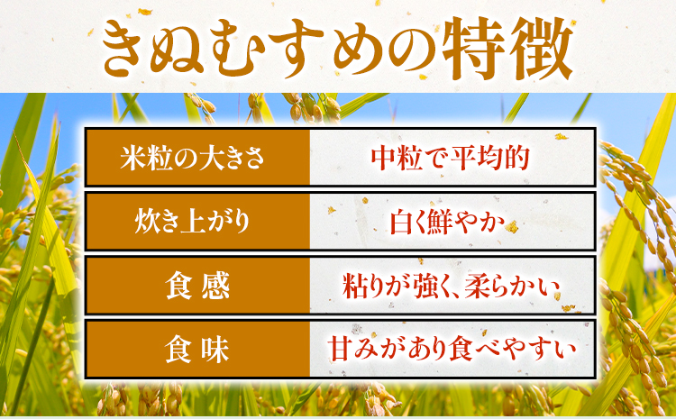 新米 令和5年産 米 岡山県産 きぬむすめ 白米 選べる 10kg ありがとう