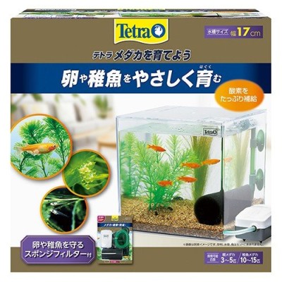 アクアリウム 用品)送料無料 14点 ４５cm 水槽セット ビギナーから経験