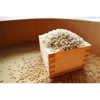 ふるさと納税 小浜市 令和5年　福井県産特別栽培米コシヒカリ　玄米10kg×2