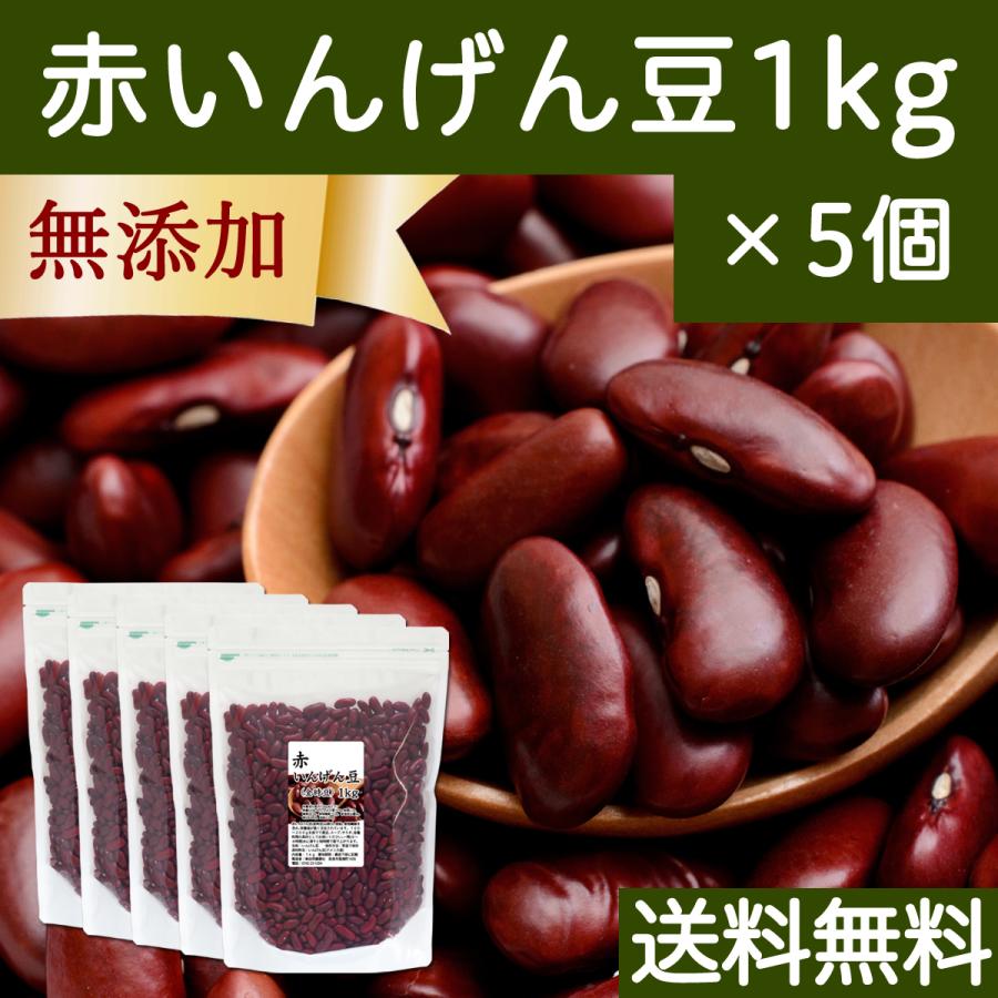 赤 いんげん豆 1kg×5個 金時豆 インゲン豆 レッドキドニー ビーンズ 送料無料