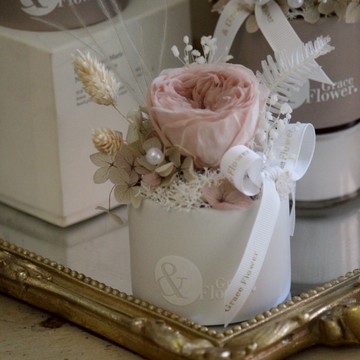 【& Grace Flower永生花禮花藝店】裸色永生玫瑰小盆花 永生花 送禮 質感 氣氛 節日送禮 禮物