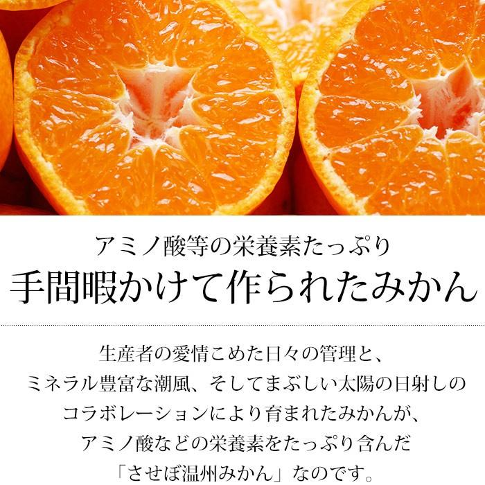 みかん 長崎県産 味っ子みかん 丸秀品 約5kg S〜Lサイズ 40〜60個 糖度13度以上