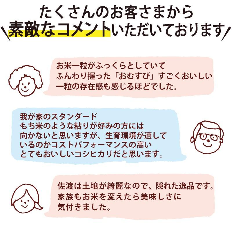 お米 2kg 佐渡産コシヒカリ 特別栽培米 朱鷺と暮らす郷 条件付送料無料 新潟米  ギフト 内祝い