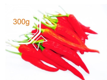 火辣限定季節限定朝天椒 300g - 吉屋商行geo all