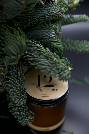 No.12 Winter.Fir 雪山冷杉 香薰蠟燭 candleplusco.氛圍好物