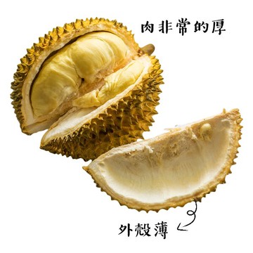 緁迪水果正泰國頂級空運金枕頭榴槤  (3-4顆裝/20台斤20%/箱)