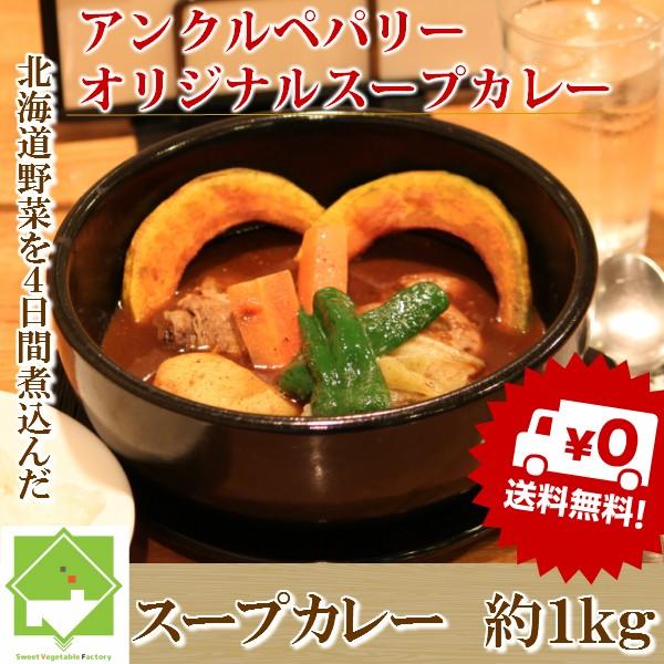 北海道　野菜スープカレー　500ｇ×２パック（２〜４人前）　送料無料