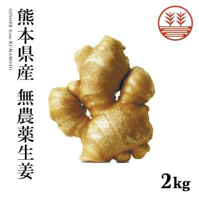 無農薬 生姜 2kg 熊本県産 国産 送料無料 生姜 しょうが ショウガ 根生姜 佃煮 薬味 きざみ 生姜 生姜焼き 唐揚げ