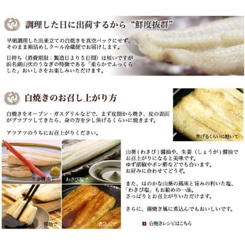 国産うなぎの長白焼き 特大サイズ 1本 浜名湖山吹