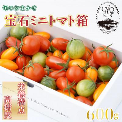 ふるさと納税 南部町 旬のおまかせ宝石ミニトマト箱 600g(旧マルファーム)