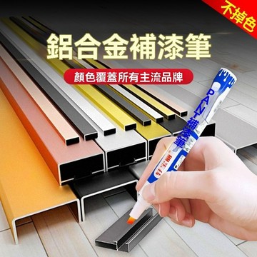 鋁閤金補漆筆 塑鋼門窗修復 劃痕修復筆 漆麵修複 金屬補漆筆 斷橋鋁門窗修補漆 門窗專用補漆筆 電鍍漆 6P2W