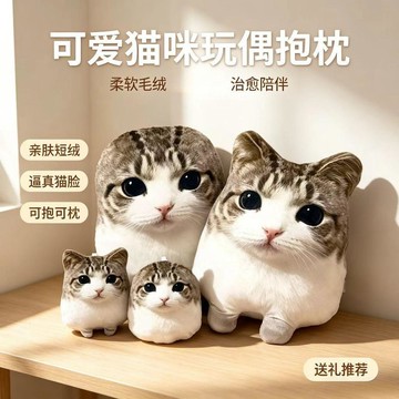 新上架👉同款妙脆角小貓表情包抱枕搞怪可愛貓咪抱枕包包掛件禮物貓咪玩偶交換禮物 送朋友禮物