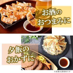 本場！ 選べる宇都宮餃子（肉餃子） 真岡市 栃木県 送料無料