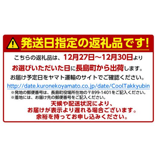 ふるさと納税 鹿児島県 長島町 ＜2023年12月27日発送予定＞長島町特産「鯛王」(2匹セット)jfa-940-1227