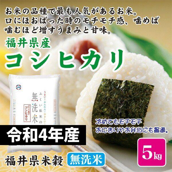 新米 令和5年産 お米 米 5kg こしひかり 無洗米 福井県産 コシヒカリ 福井県米穀