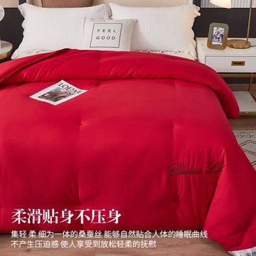 高檔結婚陪嫁刺繡喜非蠶絲被大紅被子加厚子母被春秋被四季被冬被
