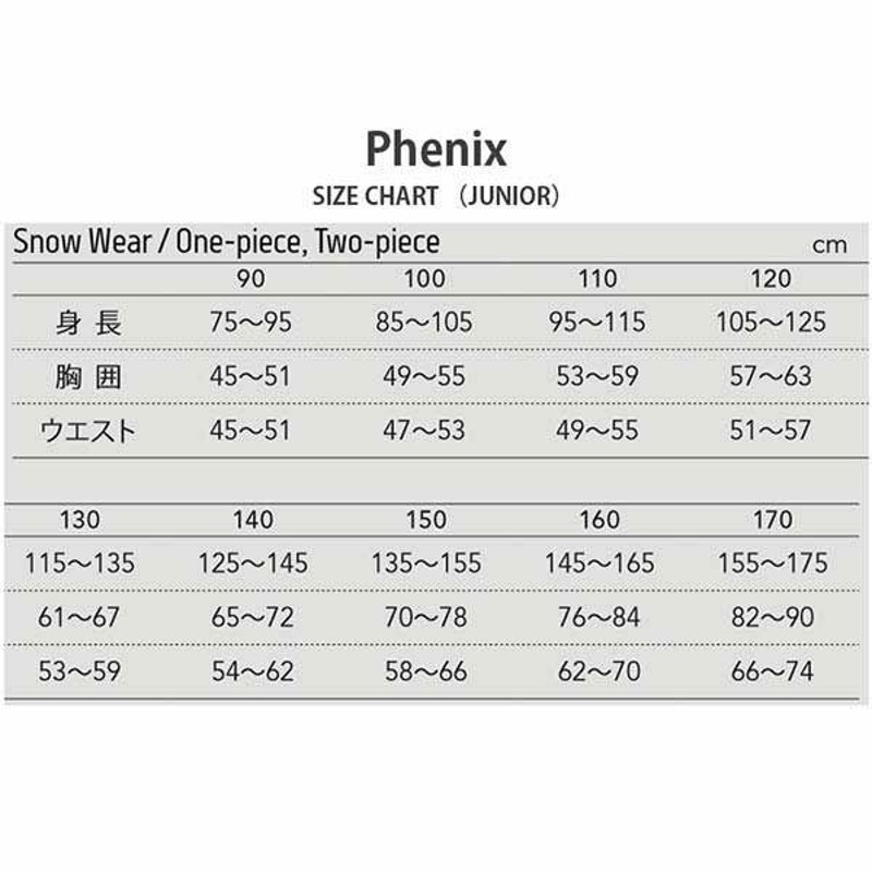 PHENIX フェニックス スキーウェア 上下セット ＜2023＞ ESB222P11