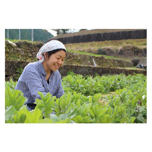 ふるさと納税 高知県 越知町 あまがえる農園のやさいセットL（栽培期間中農薬・化学肥料不使用）