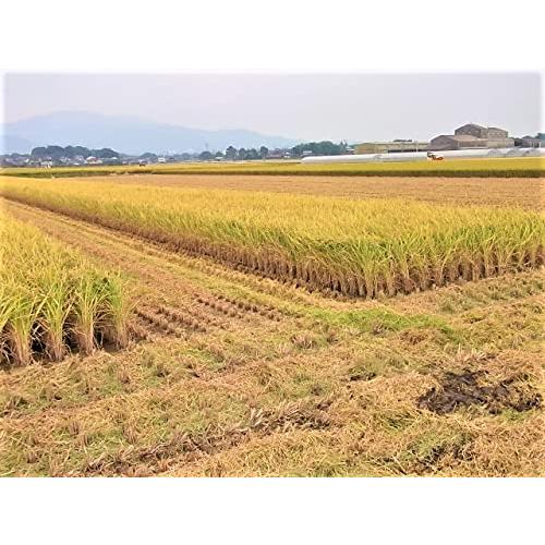 令和4年度産 新米　佐賀県産　植物性のみで育てたビーガン米10kg玄米