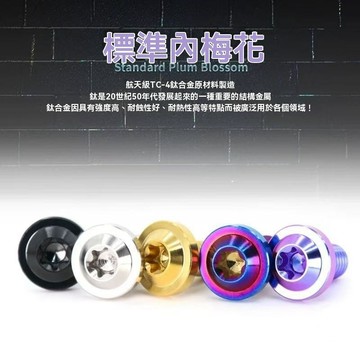 【臺灣出貨】304不鏽鋼梅花型 金色燒鈦螺絲M6×20m電動車擋 泥板上泵改裝螺絲