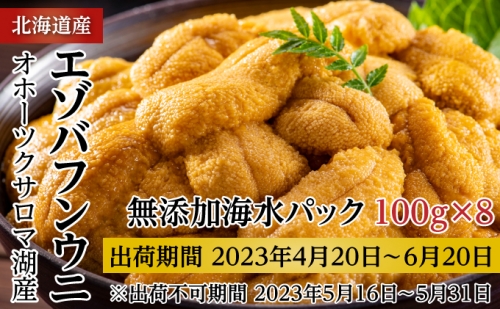 サロマ湖産 無添加 バフンウニ 800g（100g×8）海水パック［2024年4月下旬出荷開始先行予約］ 北海道 オホーツク 佐呂間町 ウニ うに 海鮮