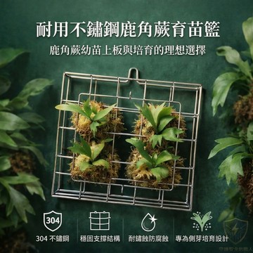 ⚒️公司出貨附發票，26x27x3.5cm鋼籃🌟不鏽鋼、繁殖、側芽、蘭花、鹿角蕨、板材、木板