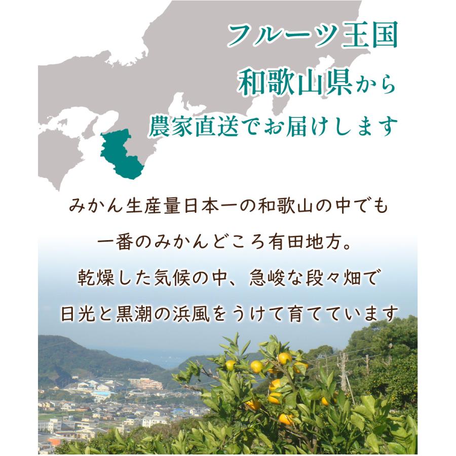 有田みかん わけあり 5kg ／ 送料無料 訳あり 温州みかん KS 有田 みかん ミカン 家庭用