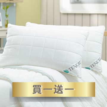 🎉 新春特賣【GLORY】TENCEL舒眠親膚抗敏天絲枕 ｜ 買一送一