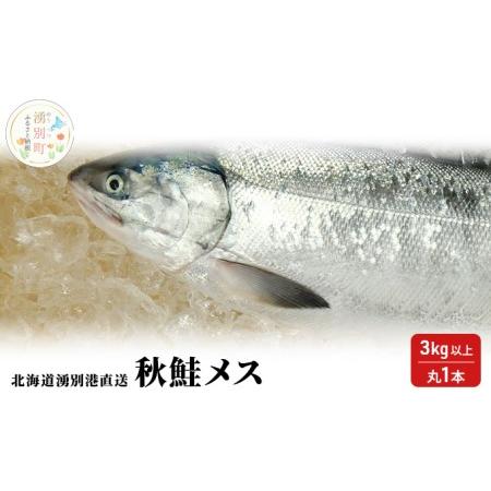 ふるさと納税 先行予約 北海道 湧別港直送 秋鮭 メス3kg以上（丸1本）納期指定不可 北海道湧別町