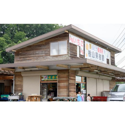 ふるさと納税 茨城県 常陸太田市 桧山FRUITFARM 朝採れ 厳選いちご  ４パック× 3回 　【茨城県 常陸太田  大粒 いちご いばらキッス ひたち姫 …