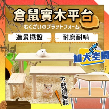 【現貨 籠內高平台】倉鼠平台 造景實木平台 倉鼠玩具 造景平台 倉鼠造景 倉鼠籠平台 倉鼠躲避 倉鼠傢俱 倉鼠樓梯